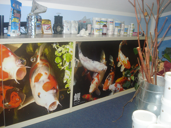 Foto Aufkleber Din-Formate